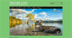 Desktop Screenshot of linx.donbass.name